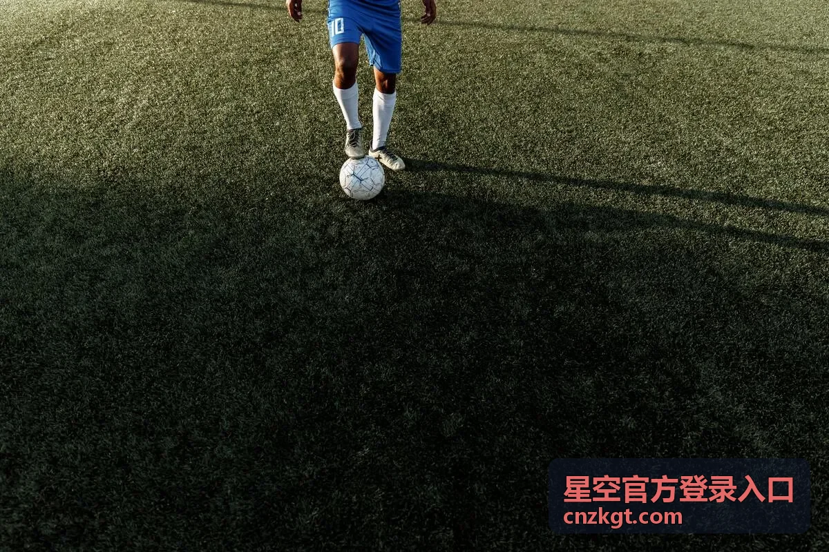 星空官方登录入口账号安全保护要点